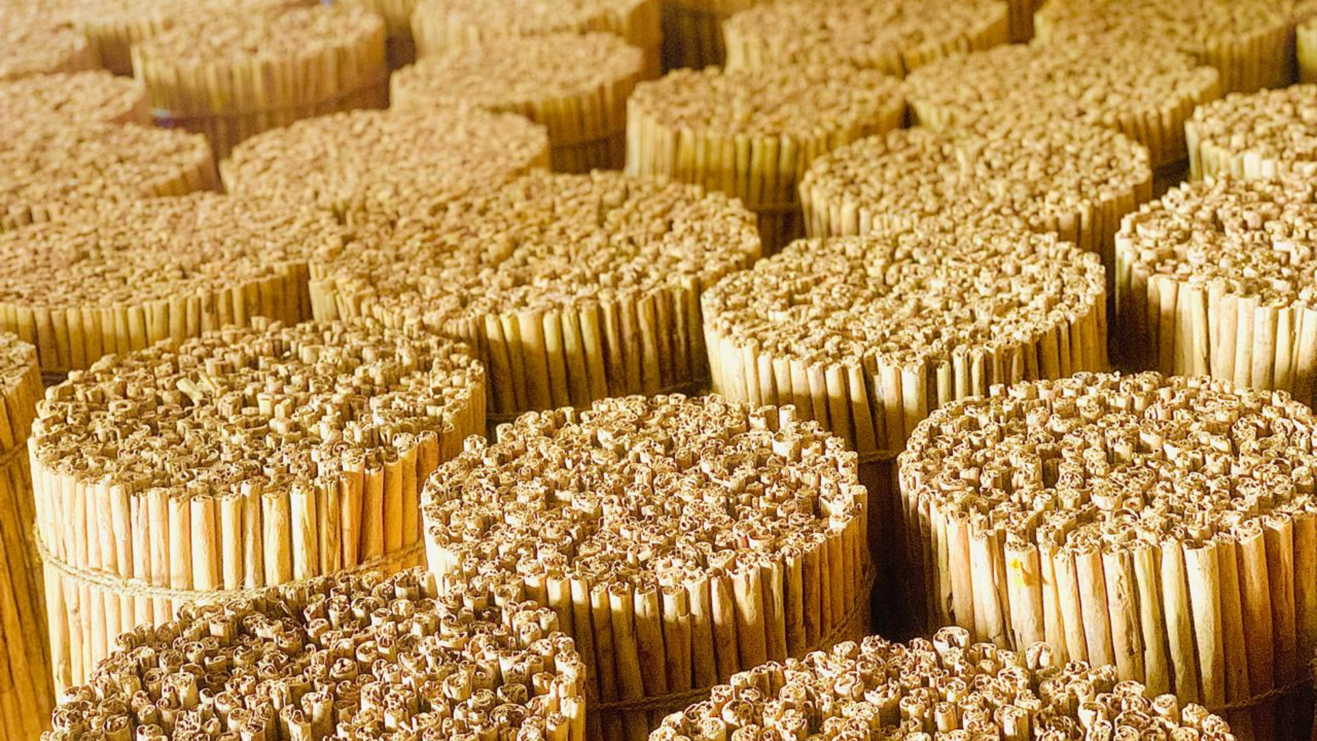 Premium Ceylon Cinnamon